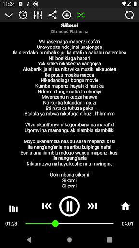 Diamond Platnumz All Songs screenshot 2