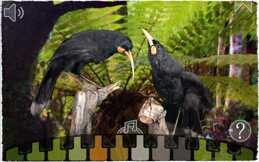 12 Huia Birds screenshot 15