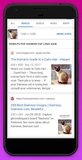 Pic Search App | Reverse Image Lookup, Pic Finder screenshot 8