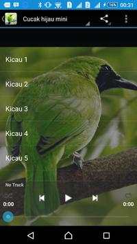 Chirping Cucak Ijo screenshot 2