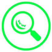 What Web on 9Apps