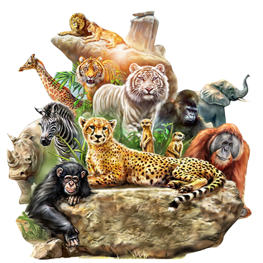 Animal names learning for kids icon