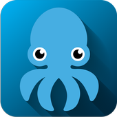 Octo - Auto Settings icon