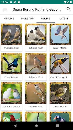Suara Burung Kutilang Gacor screenshot 2