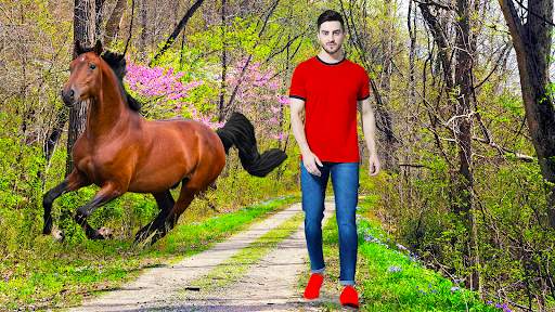 Horse Photo Editor Pic Frames 5 تصوير الشاشة