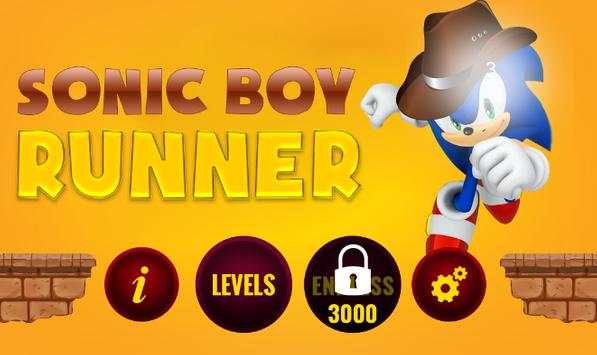 Sonic Cowboy Temple Dash screenshot 2