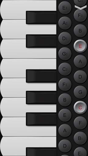 Piano Accordion screenshot 1