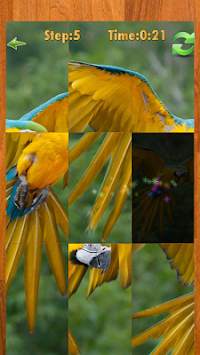 Bird puzzle game screenshot 3