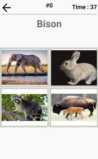 Animal Quiz-World of Mammals Reptiles Birds more. screenshot 4