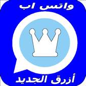 Essalband Wasab 1.2