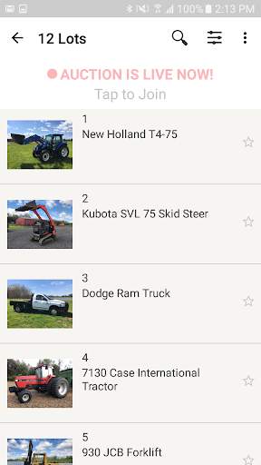 Mayco Auctions screenshot 2