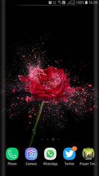 HD Background Flower Wallpaper screenshot 3