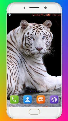 Tiger Wallpaper HD screenshot 15