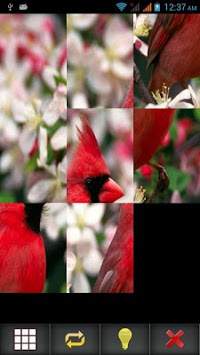 Birds Puzzle screenshot 4