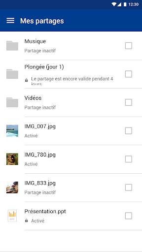 IONOS HiDrive screenshot 5