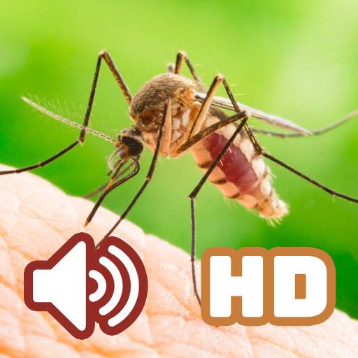 Suara Nyamuk HD 1