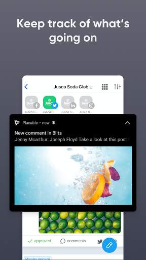 Planable Social Media Approval screenshot 8