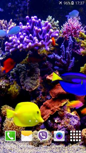 Aquarium 4K Video Wallpaper screenshot 2