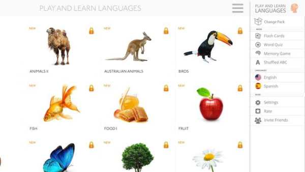 Lyrebird: Learn ENGLISH screenshot 14