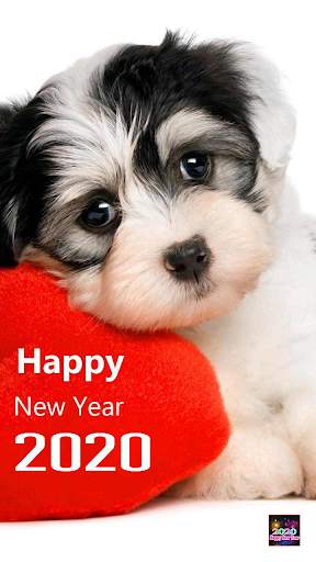 Happy New Year screenshot 8