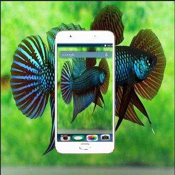 Betta Fish Fighting Game Wallpaper screenshot 2