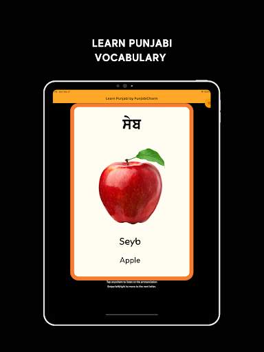 Learn Punjabi screenshot 13