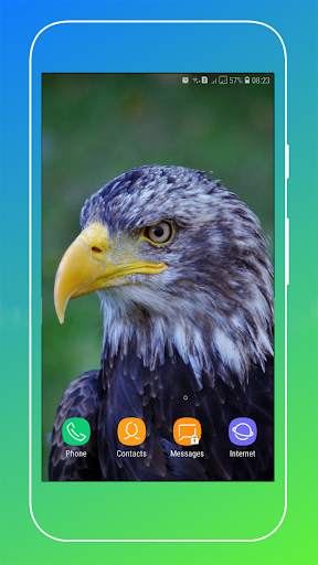 HD Eagle Wallpaper screenshot 9