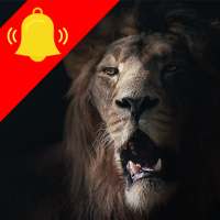 Animal Ringtones on 9Apps