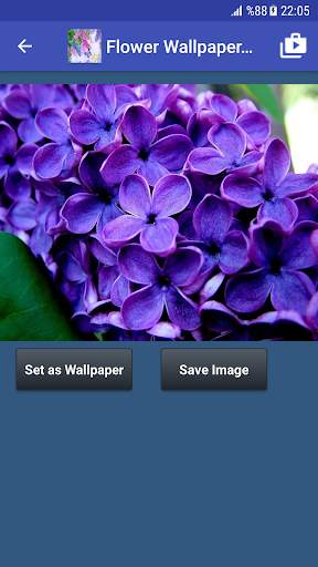 Flower Wallpapers screenshot 6