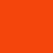 Pkarlean-Facebook icon
