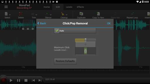 WavePad Audio Editor - Master's Edition screenshot 6