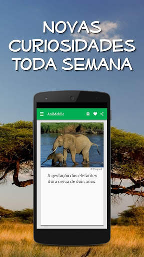 Curiosidades Animais Incríveis screenshot 6