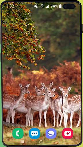 Deer Wallpaper HD screenshot 7