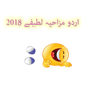 Funny Jokes In Urdu 2018 icon