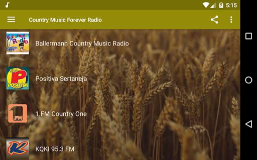 Country Music Radio - Western, Southern, Hillbilly screenshot 6