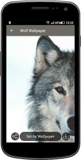Wolf Wallpaper screenshot 4