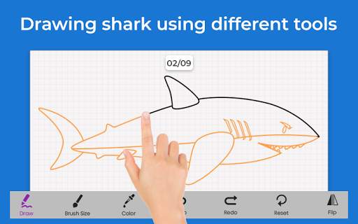 Shark Draw Step by Step screenshot 4