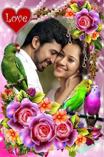 Bird Photo Frame screenshot 15