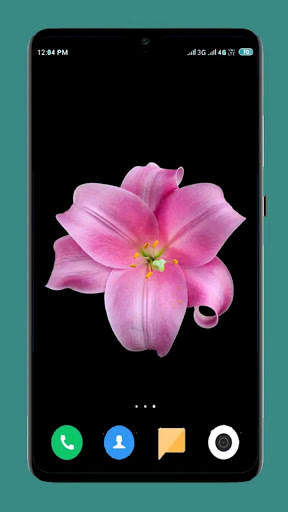 Flower Wallpaper Ultra HD 4K screenshot 2