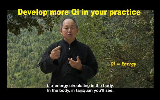 Yang Tai Chi Beginners Part 1 screenshot 16