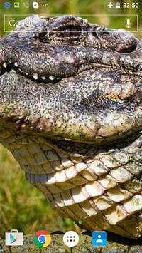 Reptile Live Wallpaper screenshot 6