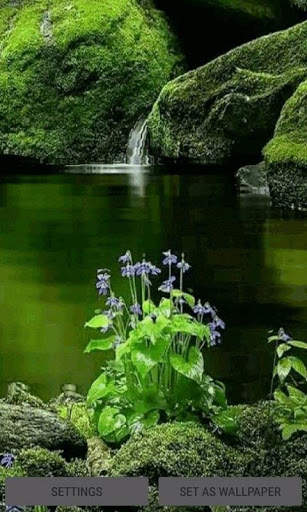 Green Nature Live Wallpaper screenshot 1