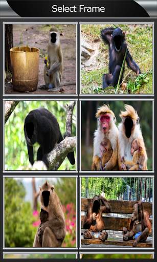 Funny Monkey Photo Montage screenshot 2