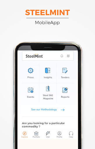 SteelMint screenshot 1