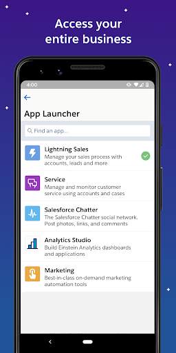 Salesforce screenshot 4