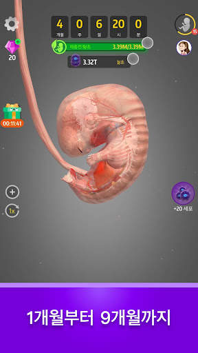 Idle 9 Months screenshot 3