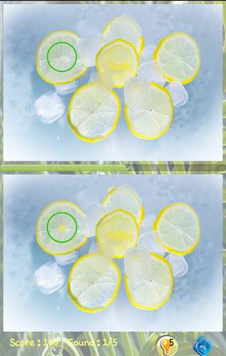 Find Differences Level 8 screenshot 2