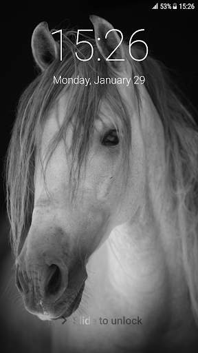Horses Pattern Lock Screen 🐴 1 تصوير الشاشة