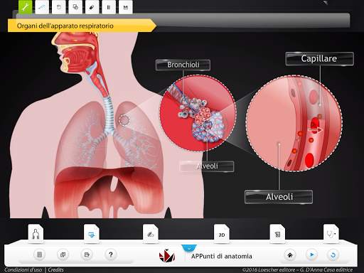APPunti di anatomia-Lite screenshot 4