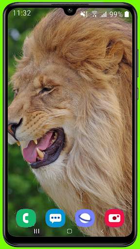 Lion Wallpaper Best HD screenshot 10